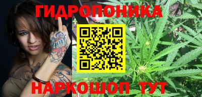 ALPHA-PVP Камышлов