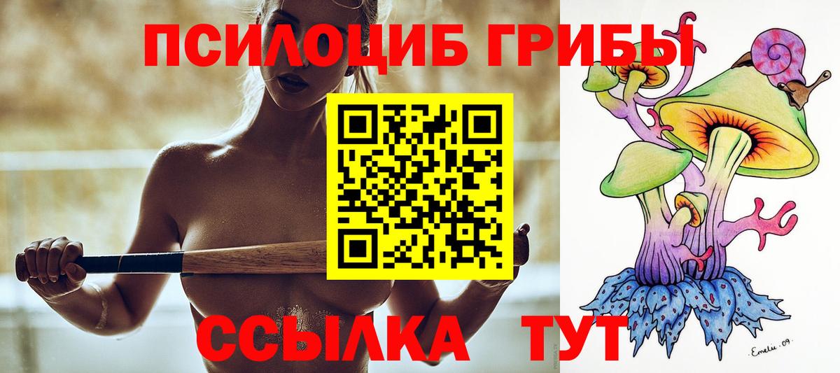 Псилоцибиновые грибы Cubensis  Псилоцибиновые грибы Magic Shrooms  Волхов  Вход с VPN 
