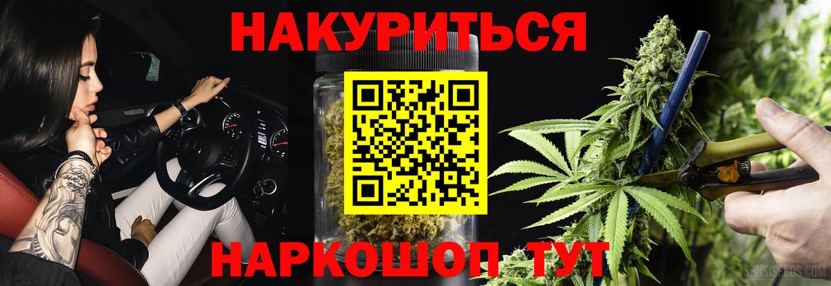 Волхов  Канабис сатива  Вход с VPN  Конопля Amnesia  Канабис план 